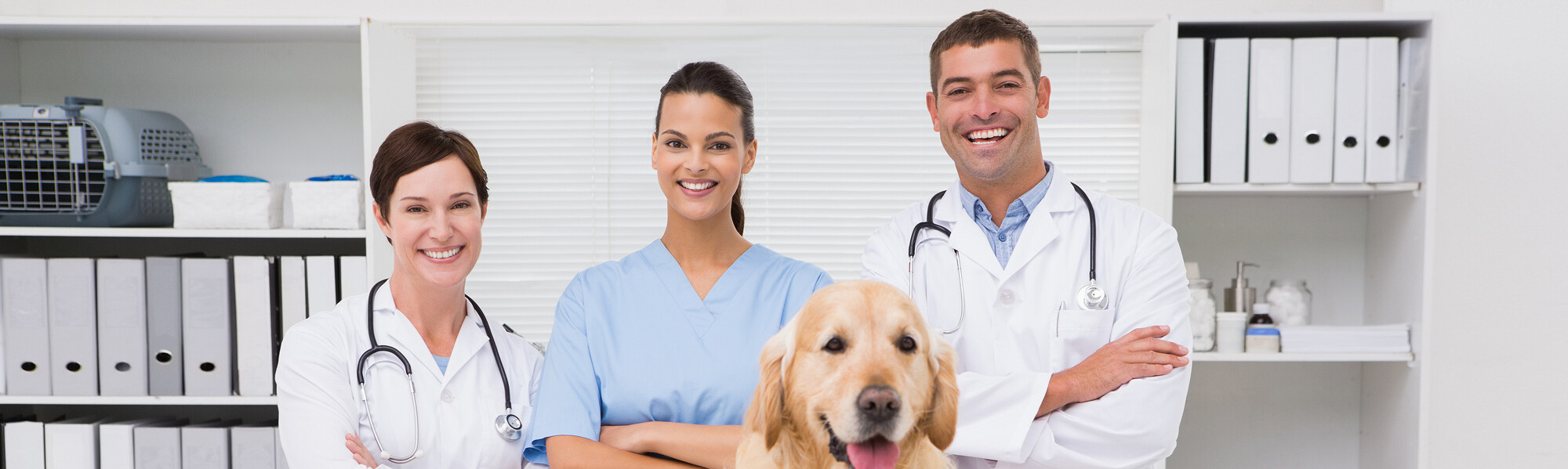 Lachende Tier&auml;rzte mit Hund